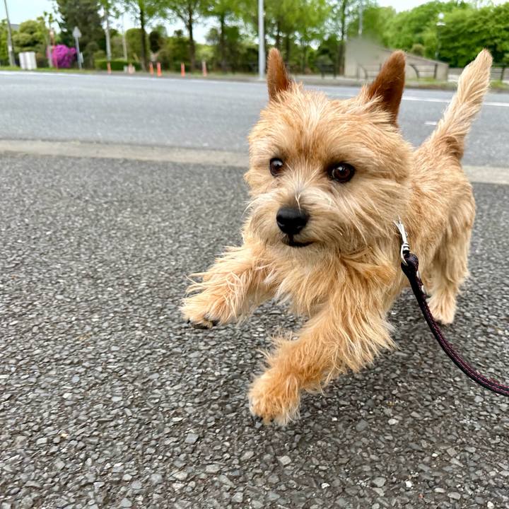 2c147324 c7be 4424 a975 7324f2085126 1745827976666