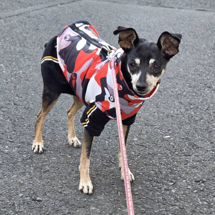 2c147dc0 bd36 4bb7 809e f5b03e51d376 1765501330513