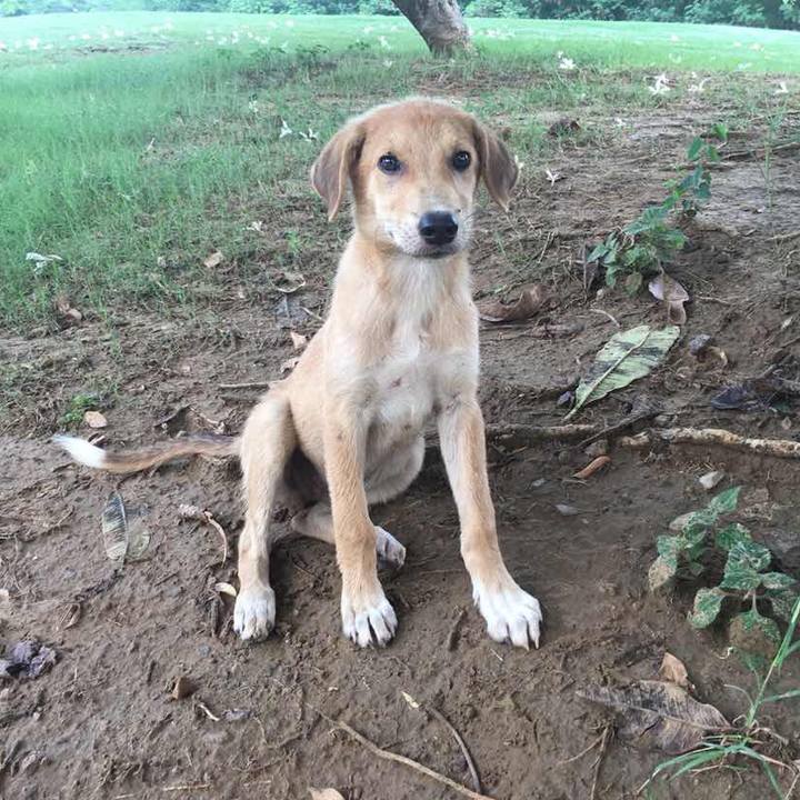 2c1482ff b114 4e5e 8b68 79113c2dab6a 1533261536163