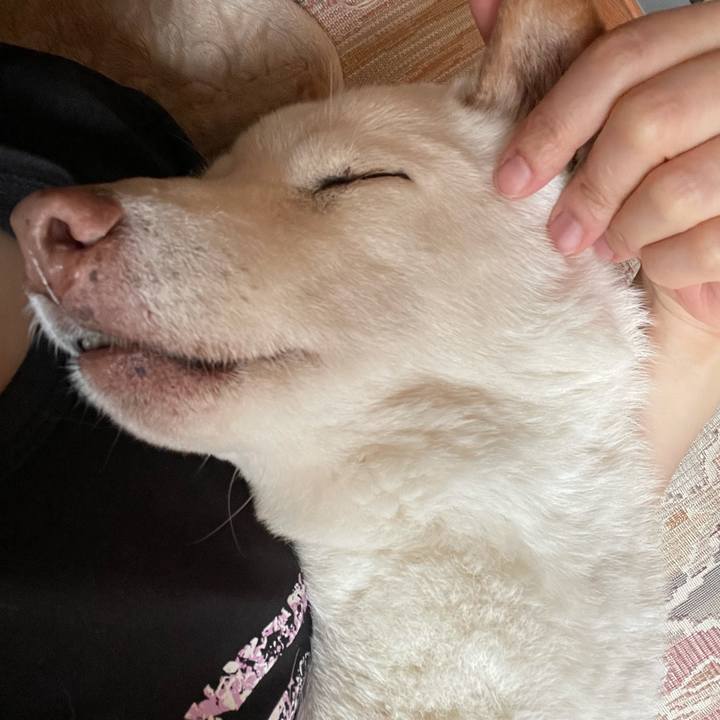 2c148b45 44be 4940 83ec b42d96d3f6b8 1636439500522