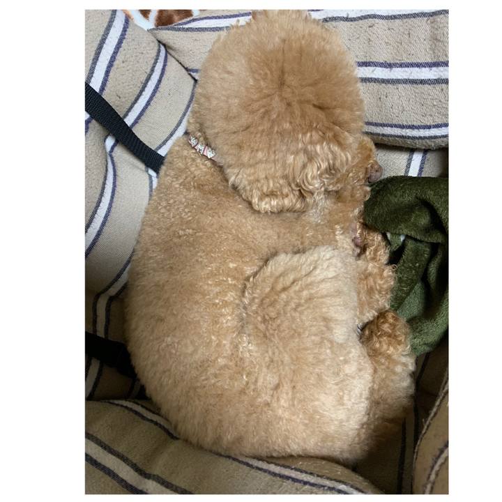 2c14b58e c490 4a90 bad8 6e5d6ada32c8 1550495518508