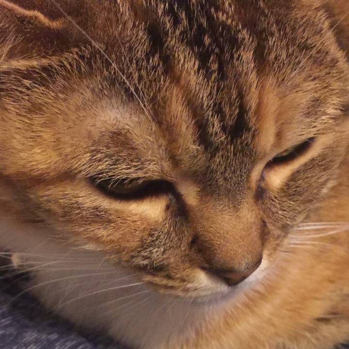 2c14bdc3 d00d 4173 9b8c 9f0b5f775bc2 1551194030003