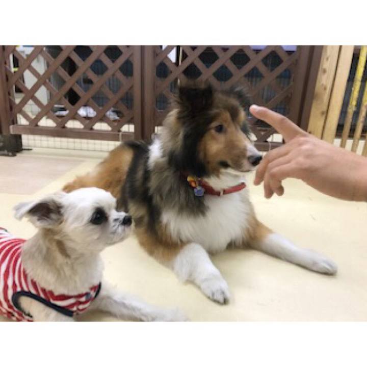 2c14cd86 c32f 4e14 a7ca 3bf22ab4e8bc 1547721692383