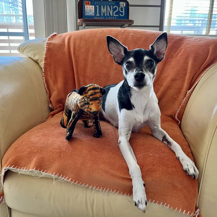 2c14cfe7 8bac 476f ac0f 5aaf8e0e057f 1636264937147