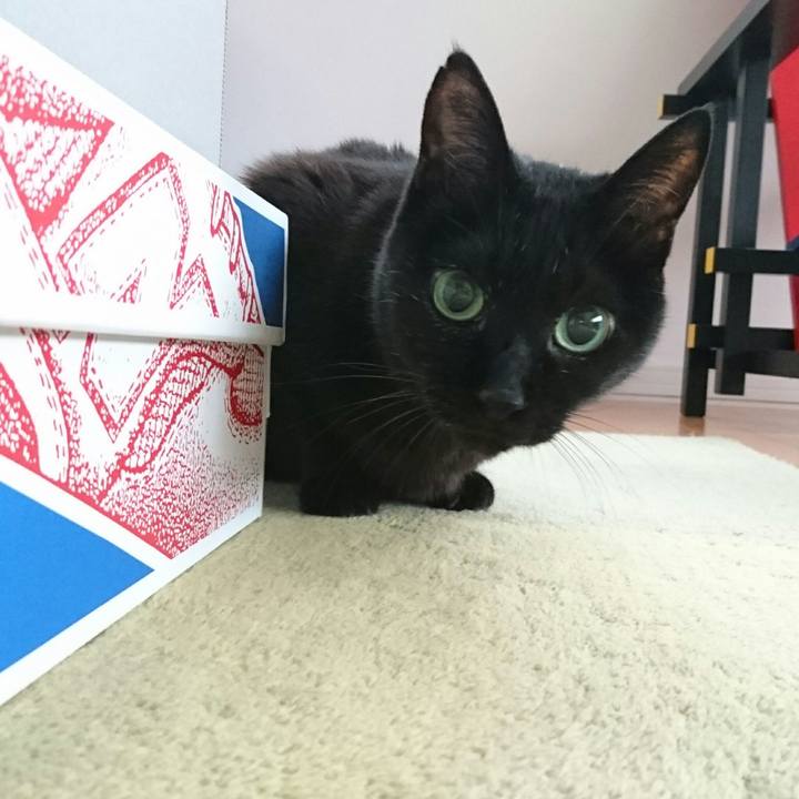 2c14dfb6 c6f2 4685 906c 470fee6761aa 1510093105226