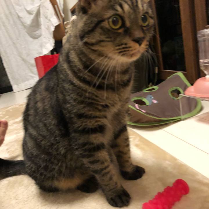 2c14f73e 573d 48c9 8963 6d3a3213d389 1569106467710