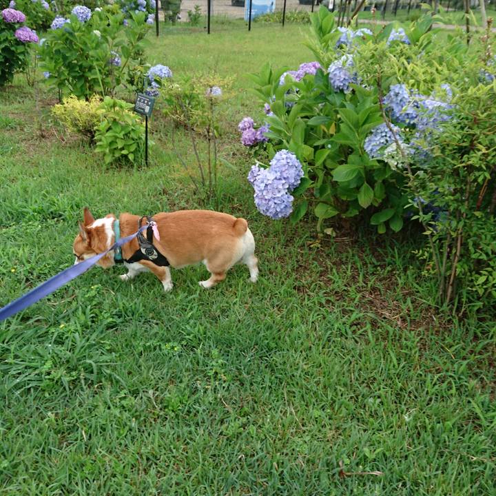 2c14f84b d524 4e88 9192 bb56f1ebe0a9 1655874752487