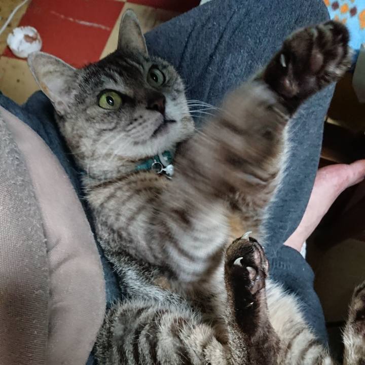 2c150600 8a5e 409f b8ff 7b1b0a912dde 1560552000472