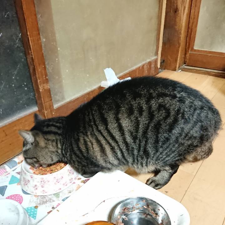 2c15239c b415 4ff7 95ab e0bfba79a7ae 1634819481732