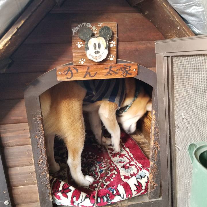 2c154030 1315 4026 9510 284bf7cdaf0f 1703827795631