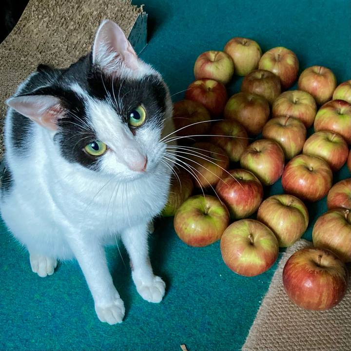 2c158934 1a2c 46e3 971c 26cf109a0b04 1693039808487