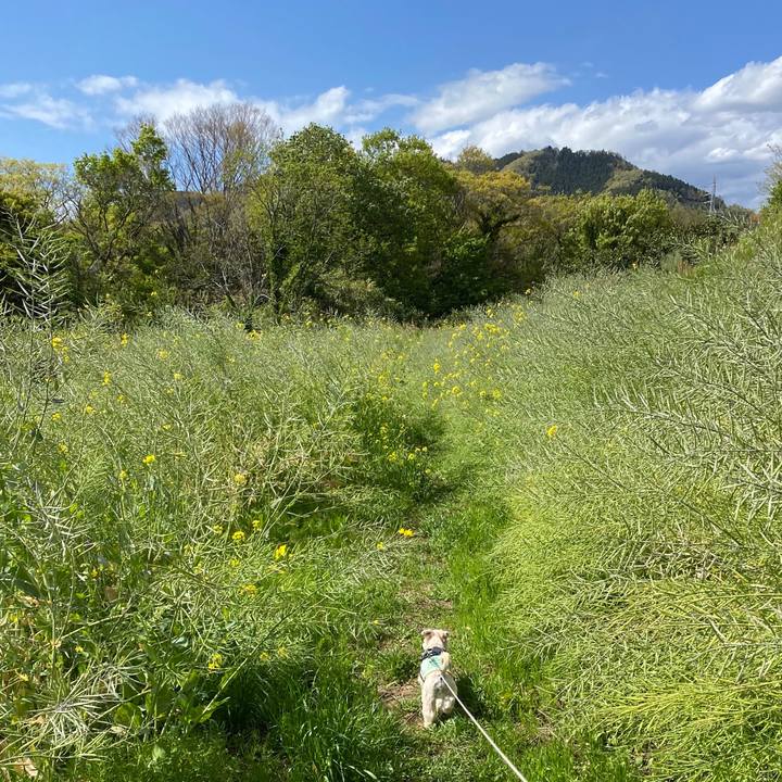 2c159107 ecd9 49d6 8d36 387d81e70ece 1587281109362