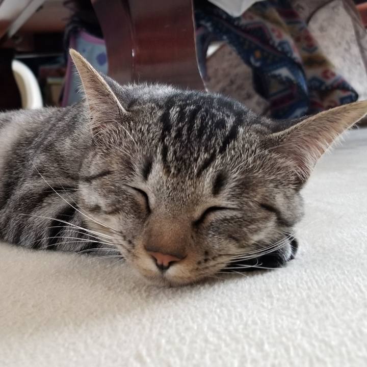 2c15c3b6 3189 4e6e aa49 d9d8938be5a9 1679618543489