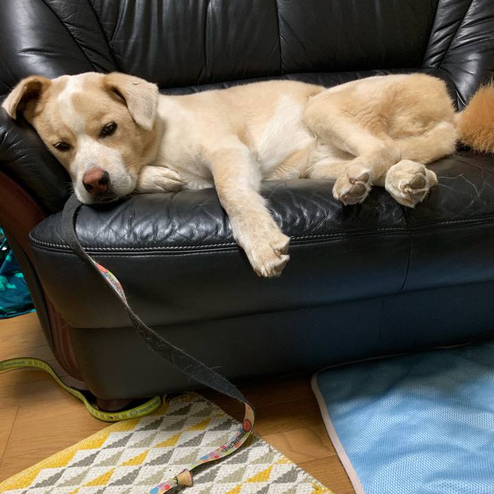 2c15cc6e bd15 4a95 b68d 6ea64f90dd09 1567693475278