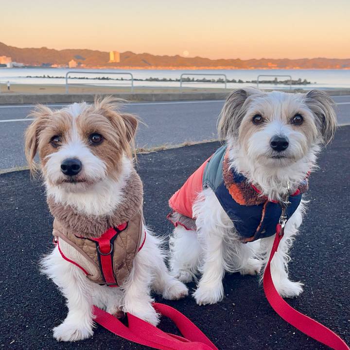 2c15d34c 6dc9 4bf1 9e8d 79fa19c03206 1767449341773