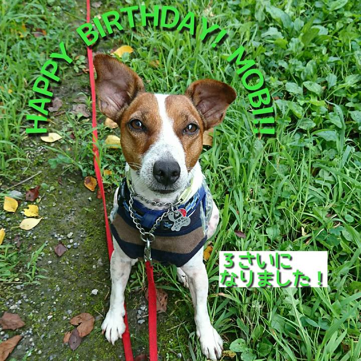 2c15d38a dee2 4dab 9ad4 45f9bf205fec 1596408424806