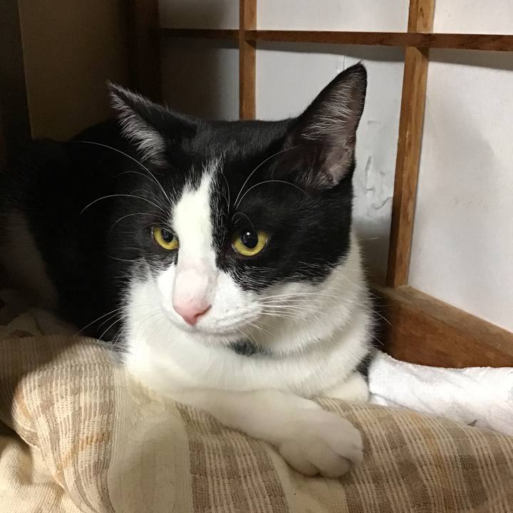 2c15e600 35b2 47bb a64e a5ac4832b249 1664707108508