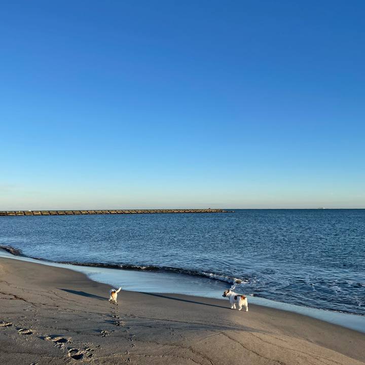 2c15f305 ede9 4047 837b 10b28204fed3 1638229833734