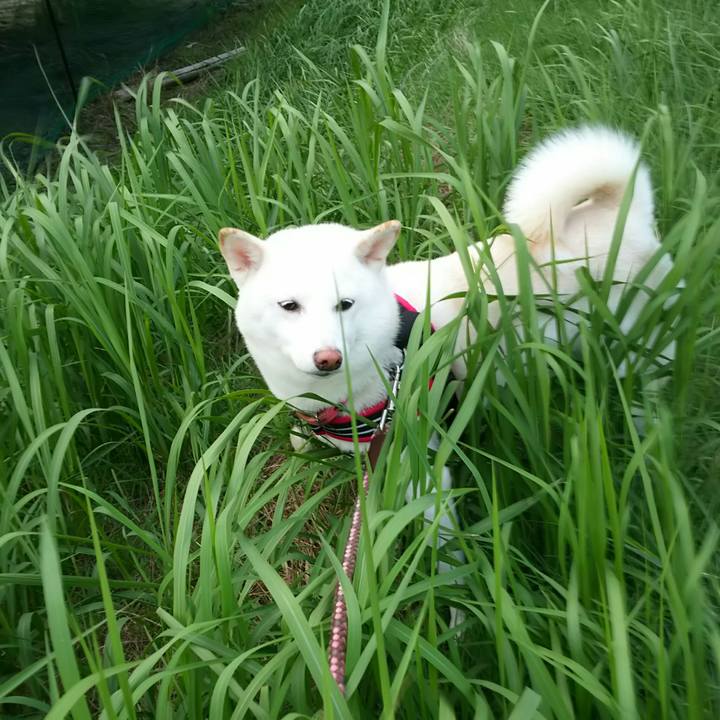 2c15fda3 c19a 4520 8c94 e3e883d2a55d 1536924733428