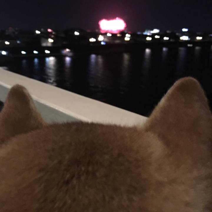 2c1607eb be9a 4a75 8a71 8a6dbbed2c85 1564835157805