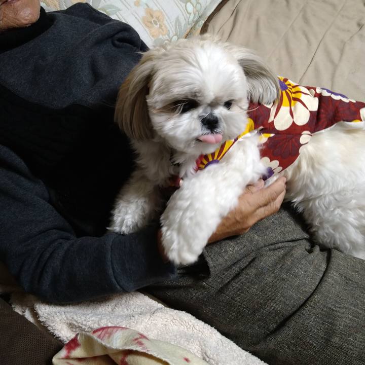 2c161e22 62f5 4c2c bf7c 808fa15dc288 1641122440370