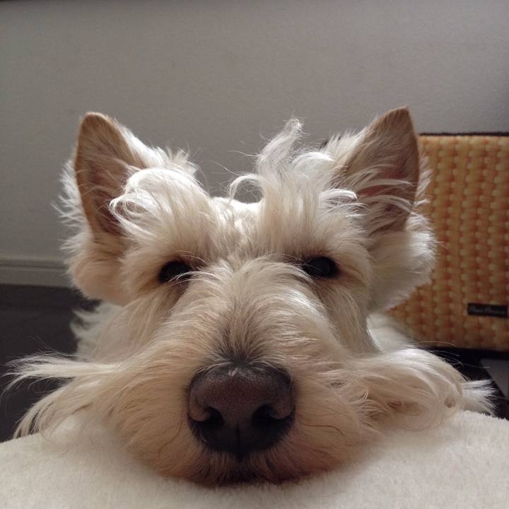 2c162585 0a0e 483b b50b af7c67cf4914 1533305403443