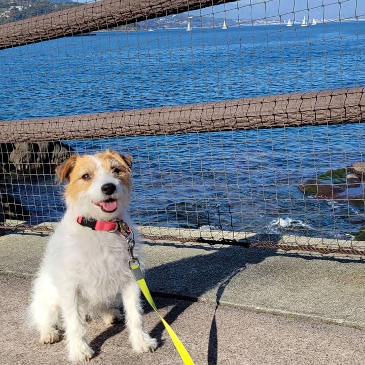 2c1636f2 16ce 4759 9a12 b24c8b4fe15c 1670645895662