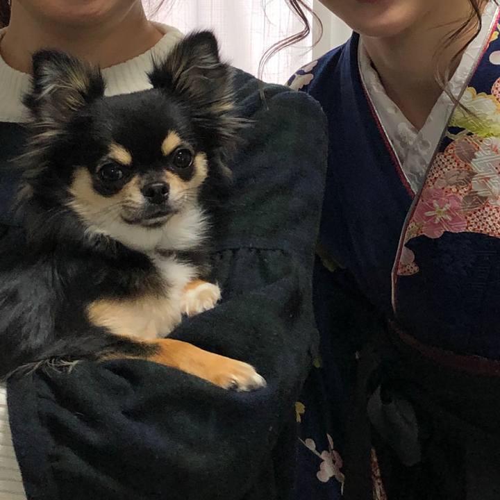 2c1754f5 6182 4918 a5b2 3ee32d769e40 1551510358794