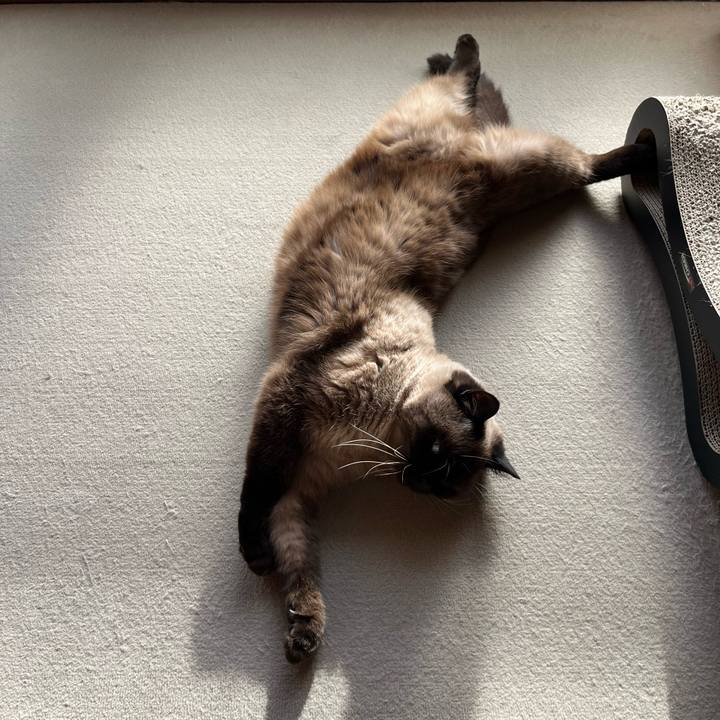 2c17ef16 f737 463e adba d3a51b2347d9 1702101012896