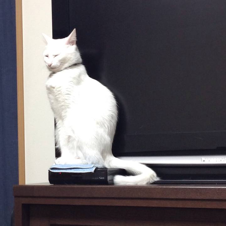 2c180d9e 2a05 4a43 adfe 90cb53d4bd95 1641698334220