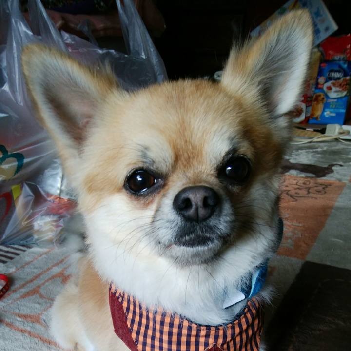 2c1812d3 85de 4272 9999 39ec16b71e56 1517296017161