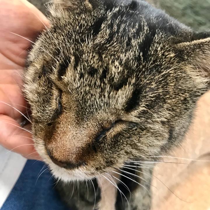 2c185171 26b8 47ff b921 1a2a37bd50c7 1629942542659