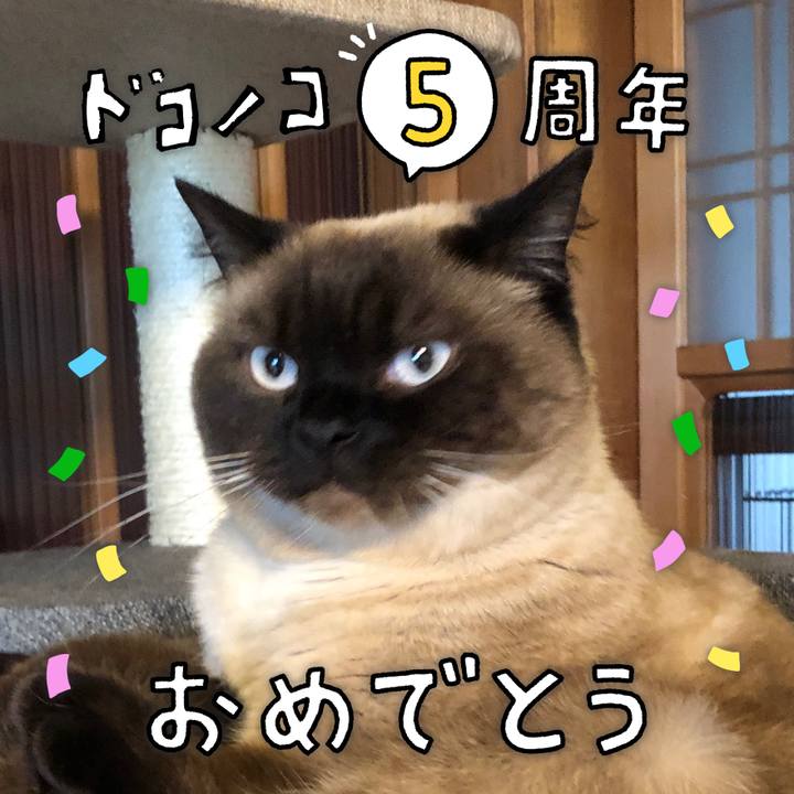 2c18da73 24e8 439f 9120 54c82d0d0289 1622862995555