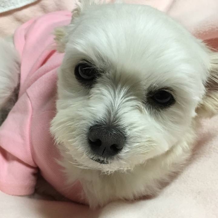 2c18fff4 0ffb 442f 967a 3b70b9d26aa0 1514374114138