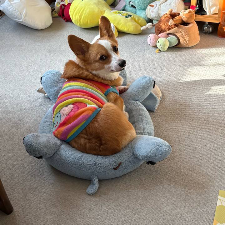 2c19079a 586a 4865 8c5d fe007b473ef0 1773038979804