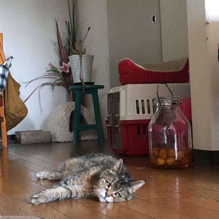 2c1931d6 382c 492f a91f da7d1e9e9998 1532156392795