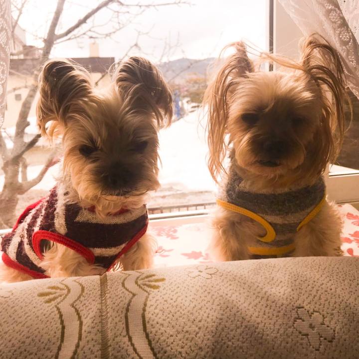 2c197e14 3c3e 4696 b4f2 3dfc5516d8bf 1555633827702