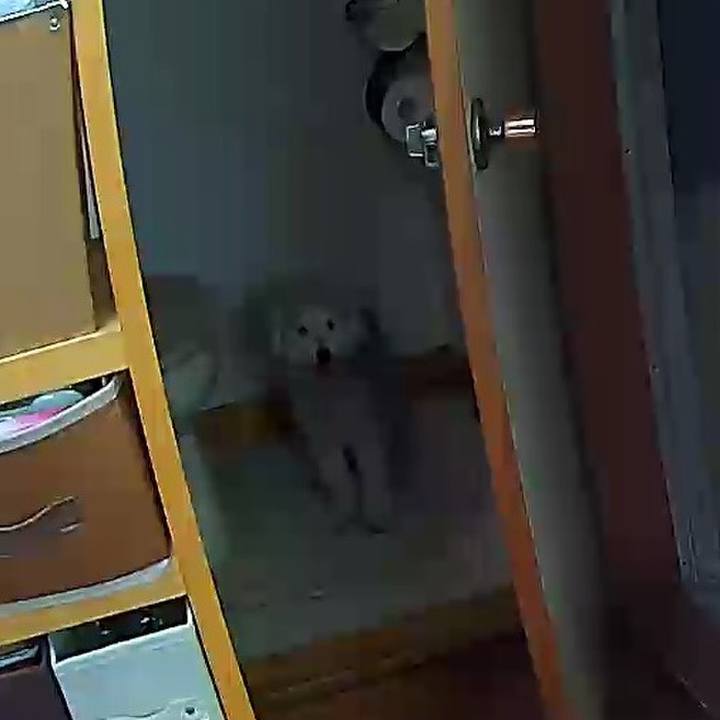 2c19d77d f2fe 4c9d 9fca d2a791fbe9bf 1637640053902