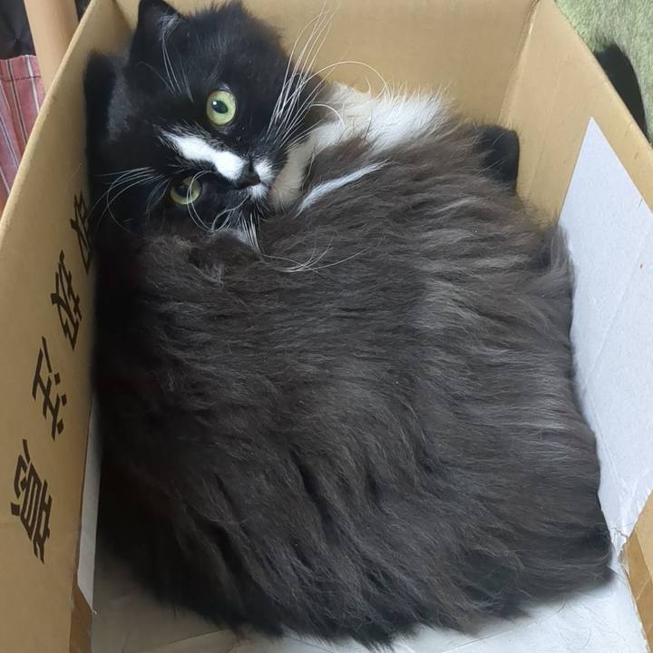 2c19dbf3 f8d5 4460 955f 3fb59d9bd712 1762129826881