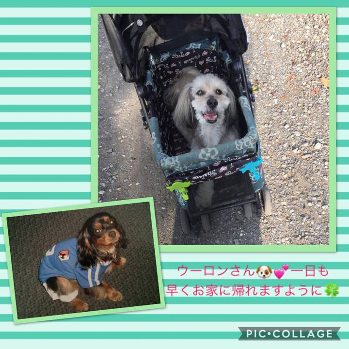 2c1a1496 7742 4e6b 9eb7 2b20de64de01 1532684920238