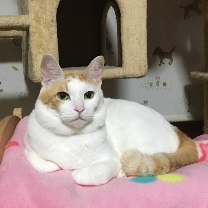 2c1a46cd 47ea 466a b655 0c1c5845b7e5 1509633403782