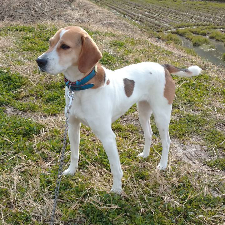 2c1a59fa 7644 4723 afc1 895736f29847 1613807607791