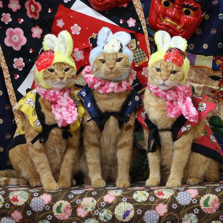 2c1a5ea0 0d76 4a84 a5b9 1b76fc25f767 1580636817482