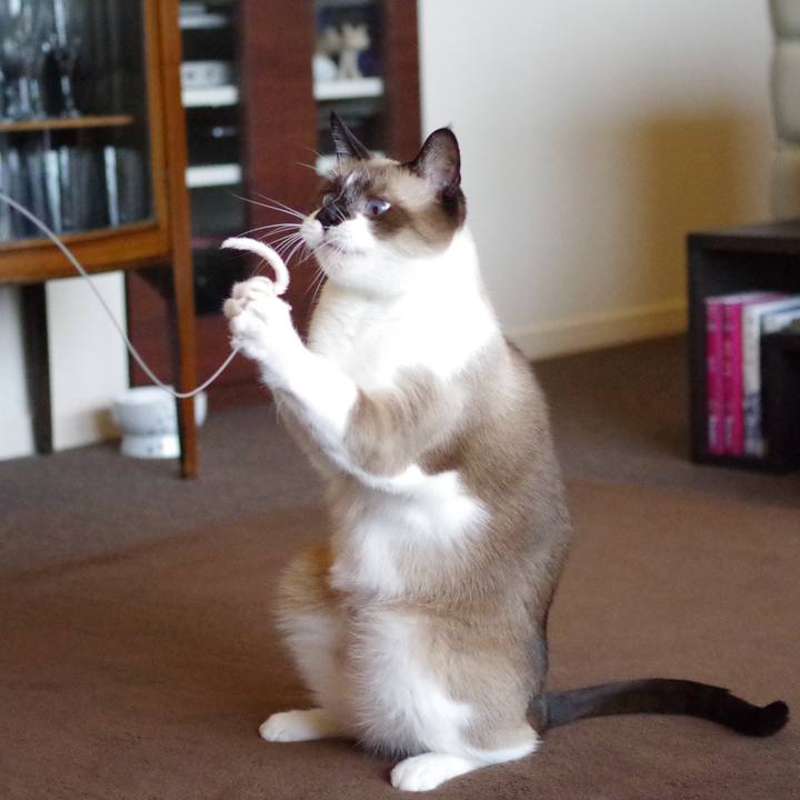 2c1a634b 2d93 4823 802b 556001f5360a 1537330897860