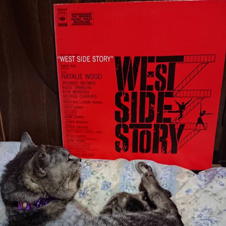 2c1a6c5d 121f 401e 91b0 d96a3381ee93 1594642240500