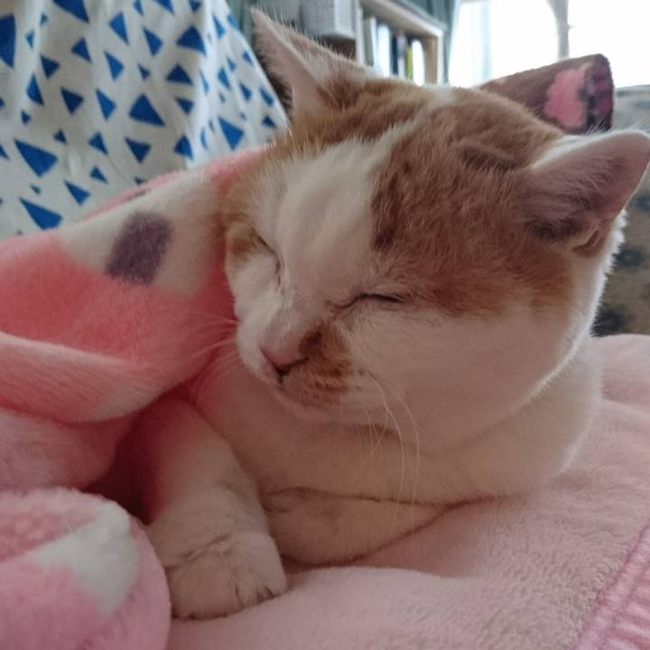 2c1a6ec6 d97d 442f 9146 cd4feac89819 1639279759880