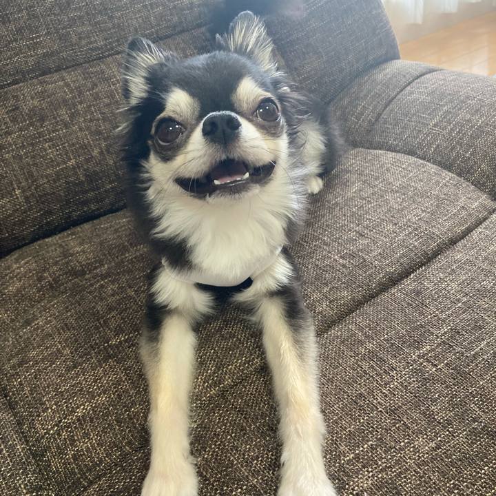 2c1ad5a2 7c7d 4d9c aeae 9d1c00a6c23d 1692096450148