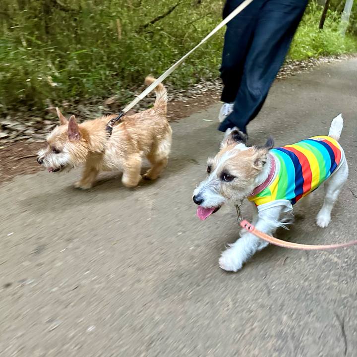 2c1b1b69 0ee7 413a 83f5 b7a7c6e931cc 1714907116638