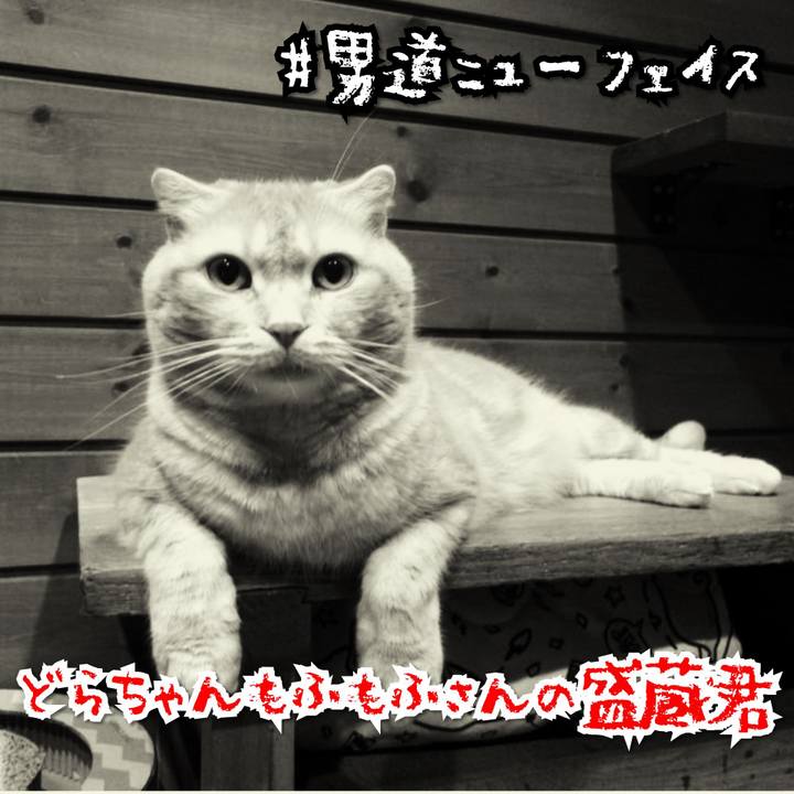 2c1b3e59 6a84 4aef bf12 2aefea2e54d6 1568437219441