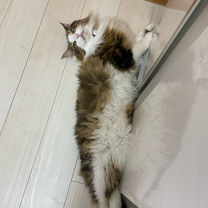 2c1b4b81 13f3 46ce 9bb7 d7a07607fb4e 1670879711695